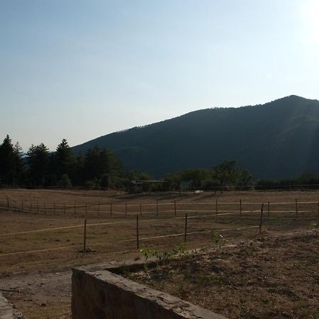 Agriturismo Le Vigne Villa Montale  Екстериор снимка